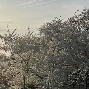 Meet your Posher, Muna